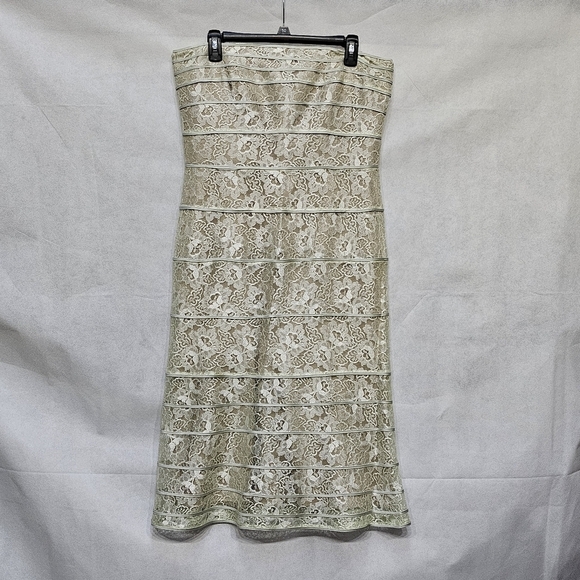 Tadashi Shoji Strapless Pale Green Floral Lace Knee Length Dress Size 14 - Picture 1 of 12